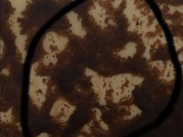 Запись на прием к потомственной гадалке Стерлитамака